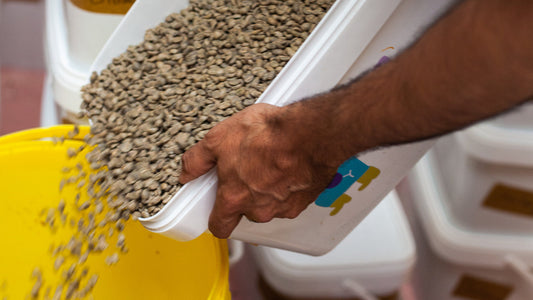We're moving our roastery